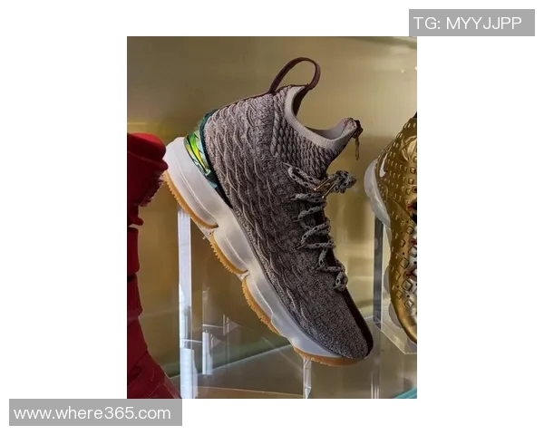 球鞋媒体曝光詹姆斯众多未发售Sample鞋款引发球迷热议